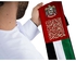 Rovatti Scarf UAE Flag 2020 Straight Scarf
