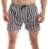 Pavone Striped Swim Shorts - Black & White