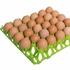 Vented Plastic 30 Egg Tray Rack