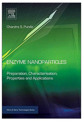 Enzyme Nanoparticles paperback english - 28-May-15