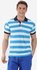Ravin Stripe Polo Shirt - Contarst Trims-Blue