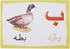 كروت تعليم الحروف العربية للجنسين، 20 قطعة - متعدد الالوان