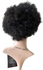 LADYSTAR SYNTHETIC BLACK AFRO CURLED  FULL CAP WIG (WG10011)