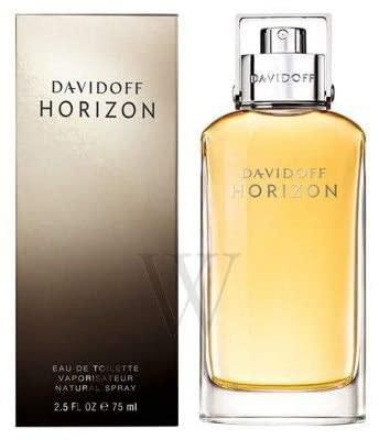 Horizon by Davidoff for Men - Eau de Toilette, 75 ml