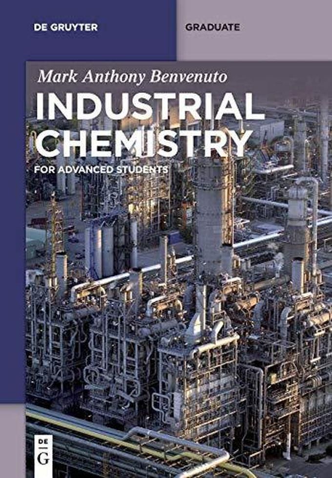 Industrial Chemistry: For Advanced Students (De Gruyter Textbook)