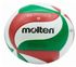 Molten Synthetic Leather No. 5 Volleyball