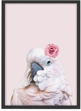 Cockatoo Bird Poster With Frame Multicolour 30x40centimeter