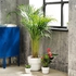 FÖRENLIG Plant pot, in/outdoor white, 12 cm - IKEA