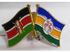 Fashion Kenya - Nakuru Double Flag Lapel Pin