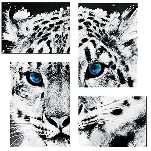 PrintTech Modern Canvas Tableau 75 Cm X 80 Cm - White Tiger - Multicolor