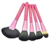 Etrends 20 Pcs Pink Handle Makeup Brush Gift Set Kit with Pink Folding PU Leather Pouch Bag.