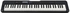 CASIO Musical Keyboard, Black - CT-S300C2