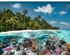 Ravensburger A Dive in The Maldives 2000 Piece Jigsaw Puzzle for Adults - 17441 - Every Piece is Unique, Softclick Technology Means Pieces Fit Together Perfectly
