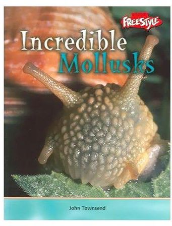 Incredible Mollusks paperback english