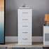 Vida Designs 5 Drawer Narrow Chest Tall Bedroom Storage Unit Sliding Drawers Bedroom Furniture (White)