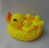 Baby Duck Toy Play Set