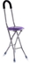 Walking Stick With Chair
