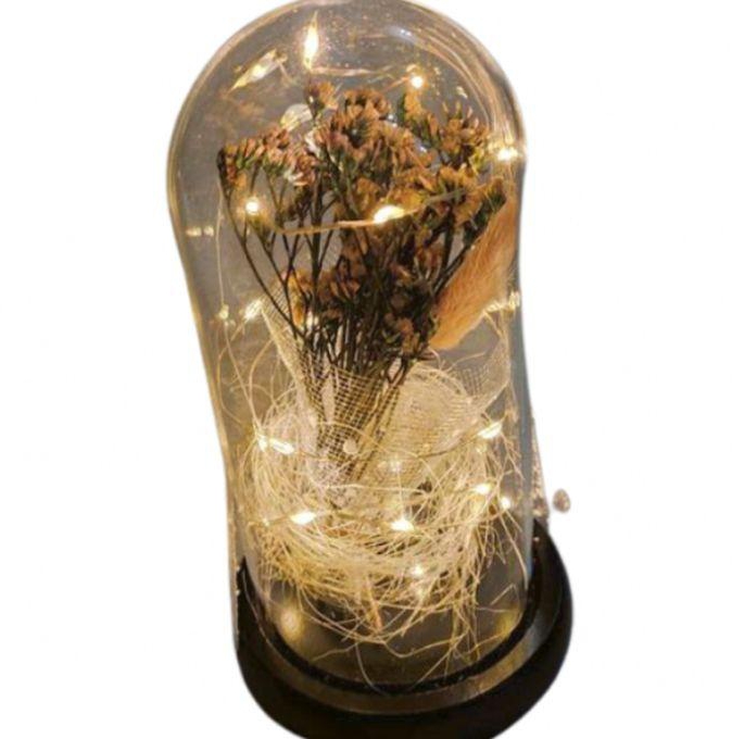 Glass Dome Flowers With Led Lights,Home Decorations,Anniversary,Valentine's Day Gift