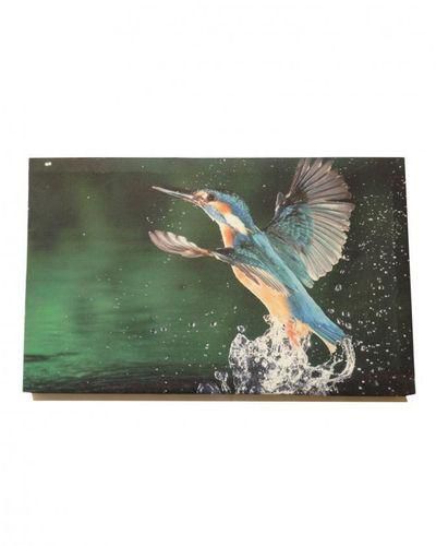 Samexpress Bird Printed Art Frame - 51x31 cm