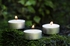 Talent Forecast Tea Light Candles For Wedding Anniversary 50 Pcs Set