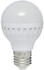 LED Light Bulb- 5 Watt