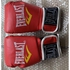 Everlast Quality Leather Boxing Gloves