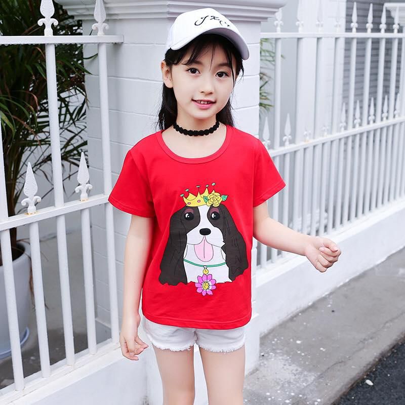 Koolkidzstore Girls T-Shirt Puppy with Crown Printed - 6 Sizes (Pink - Red)