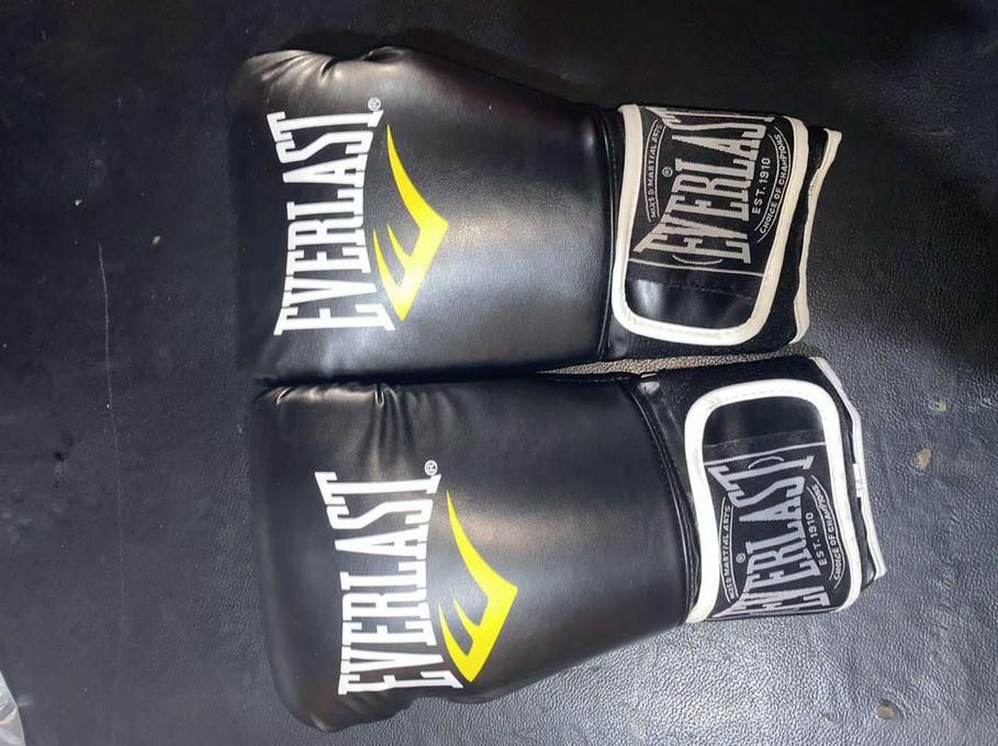 Everlast Leather Boxing Gloves