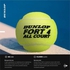 Dunlop tennis ball, yellow, small