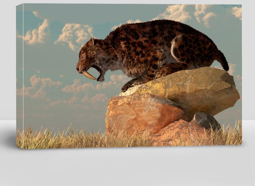 A Saber-Toothed Cat Stands Atop a Boulder on a Grassy Plain