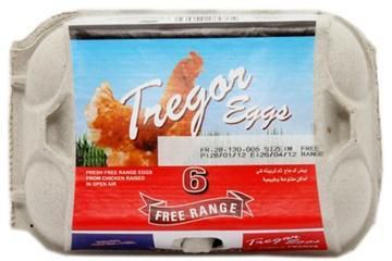 Tregor Eggs Free Range - 6's