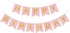 Pink Happy Birthday Bunting Banner,Swallowtail Flag Happy Birthday Sign, Letters Banner for Party Supplies and Birthday Decorations 