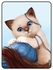 Protective Flip Case Cover For SAMSUNG GALAXY TAB A 8.0 Kitten wool