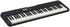 CASIO Musical Keyboard, Black - CT-S300C2