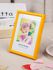 Photo Frame Simple Bright Colored Sides Picture Frames