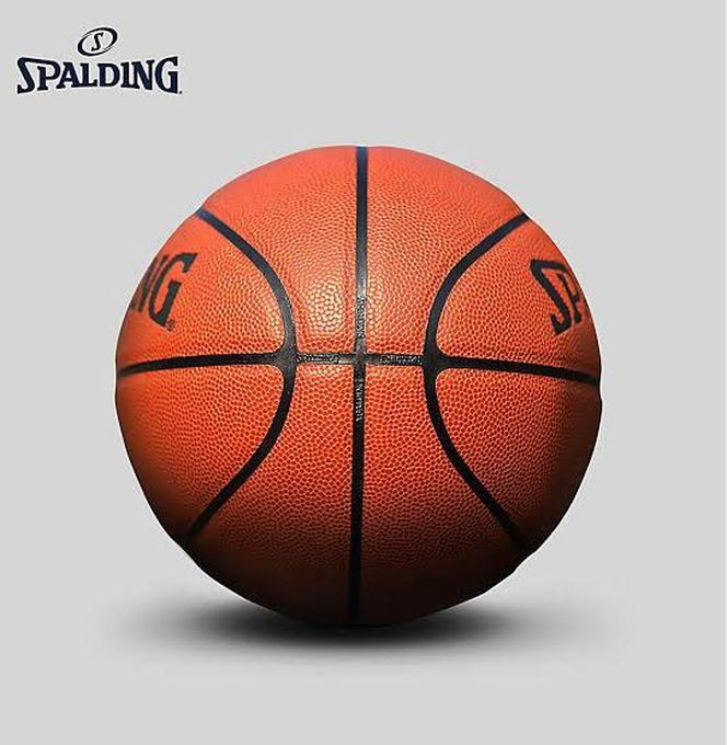 Spalding Professional Basketball