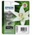 EPSON Ink ctrg light light black for R2400 T0599 | Gear-up.me