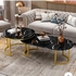 2 in 1 Tempered Glass coffee Table set