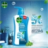 Dettol Cool Showergel & Bodywash Menthol and Eucalyptus Fragrance 700ml & Handwash Liquid Soap Original Refill for Effective Germ Protection & Personal Hygiene, Pine Fragrance, 1L