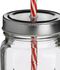 SG Glass Jar W/Lid & Straw (450 ml)