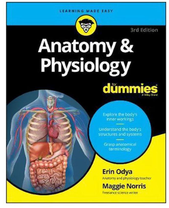 Anatomy And Physiology For Dummies Paperback