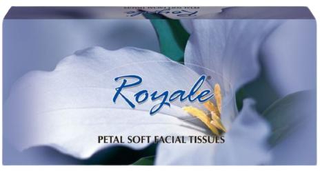 Royale Facial Tissue Blue Standard-80 Sheets