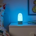 SPIKEN LED night light - otter-shaped battery-operated/multicolour 15 cm