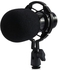 Microphone Condenser Microphone Audio Mic Studio Sound Recording Microphone - Black