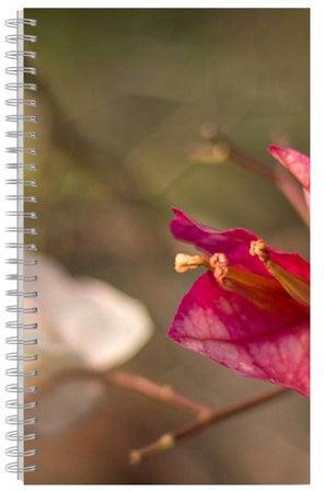 A4 Spiral Bound Notebook Green/Pink