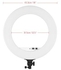 Photography LED Video Ring Light With Phone Holder And Carrying Bag White