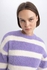 Defacto Woman Tricot Regular Fit Crew Neck Long Sleeve Pullover.