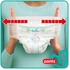 Pampers Pants Diapers, Size 6, Extra Large From Pampers , 16+ Kg, 48 Count