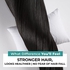 AL ZIBA CARES Strengthening & Fall Control Shampoo | Hair Fall Control With Goodness of BHRINGAJ & OLIVE OIL | Hair Growth Shampoo for Women & Men | 16.9 FL.OZ (500ML)