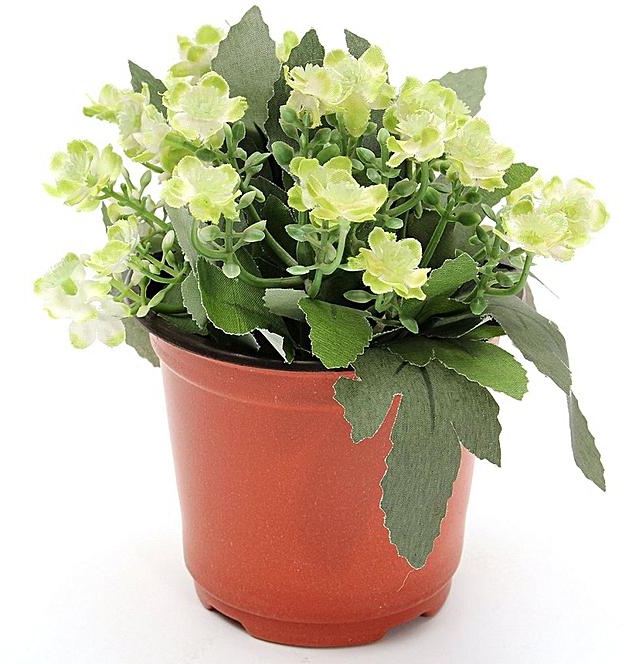 Generic 50Pcs Plastic Plant Pots Home Garden Nursery Flowerpots 10 Depth Small